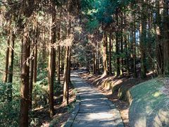 -玉苍山国家森林公园