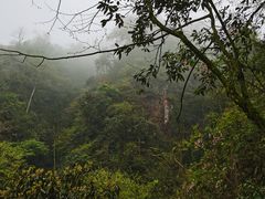 -峨眉山风景名胜区
