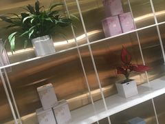 -奈雪的茶(新天地广场PRO店)