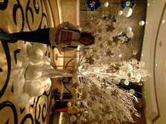 android_upload_pic-澳门十六浦索菲特大酒店