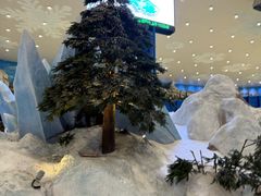 -长沙湘江欢乐雪域