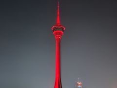 -澳门环岛游湾仔码头