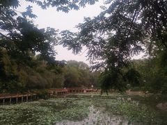 -云岗森林公园