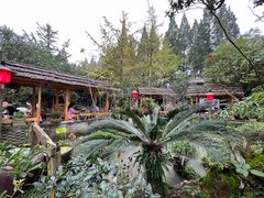 -青城甲(青城山店)