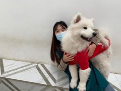 -星多哈·狗咖·拼豆·咖啡