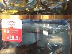 -蜀滋香鲜鱼美蛙火锅(339店)
