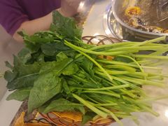 -牛鼎记潮汕牛肉火锅(阳朔店)