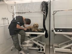 -comecome来吧宠物(奥克斯中心店)