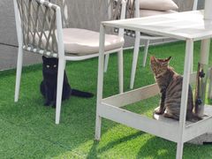 -UNI UNI(环亚凯瑟琳店)