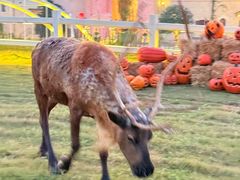 -华谊兄弟（长沙）电影小镇