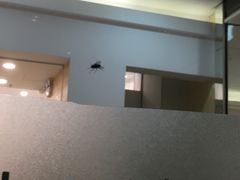 -望湘园·洞庭渔宴(永旺店)