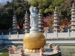 -泰山风景名胜区-普照寺