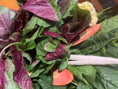 -野山舂·贵州现舂酸汤牛肉(鸿通城店)