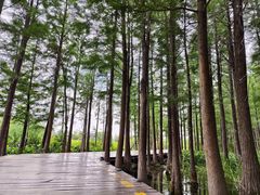 -云龙湖旅游景区