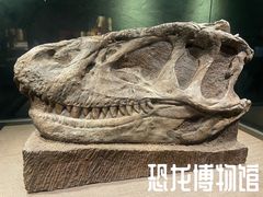 -自贡恐龙博物馆