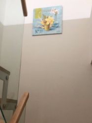 -敦南真爱月子会所(黄埔店)