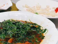 -同济大酒店(绿宝广场店)