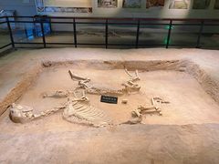 -洛阳周王城天子驾六博物馆