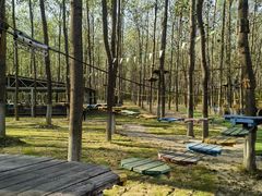 -合肥滨湖国家森林公园