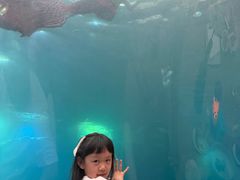 -海棠湾洲际-涛·海底餐厅·美人鱼·自助餐·海底隧道