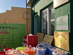 -大自然农场蔬菜草莓采摘园