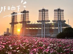 -凤来茶餐·粤菜馆(珠江新城店)