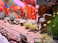 -正佳雨林生态植物园