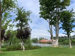 -上海长兴岛郊野公园