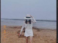 -碧海金沙