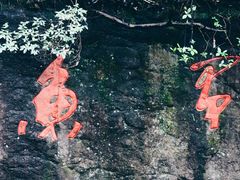 -湖州龙王山景区