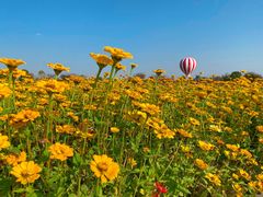 -歌斐颂巧克力小镇