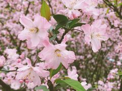 -杭州城北体育公园