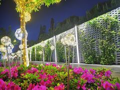 -青果巷历史文化街区