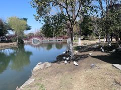 -东台西溪天仙缘景区