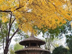 -玲珑塔公园
