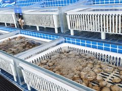 -万达文华酒店·48F云端窗景美食汇自助餐厅