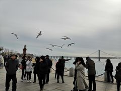 -星海湾跨海大桥