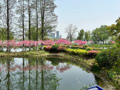 -金银湖国家城市湿地公园