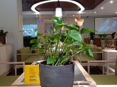 大堂-安多素食(广仁寺路店)