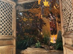 门面-叶叶菩提·晋福宫