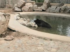 -石家庄市动物园