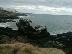 -龙头岩(Dragon Head Rock)