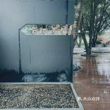云径•天竹