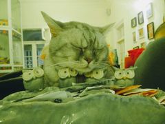 -猫色咖啡·猫咖