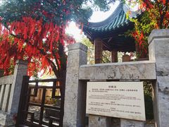 -云龙山