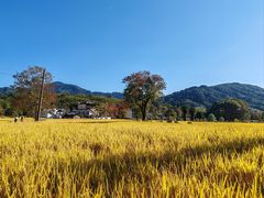 -塔川景区