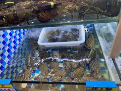 -蔚海之都·象山蒸汽海鲜(仙霞路店)