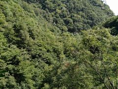 -德克士(北大街店)