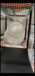 -龙小湖探索乐园 Little Hoo Galaxy(龙湖重庆金沙天街店)