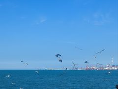 -悦海公园